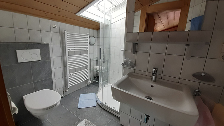 Haus Domenig