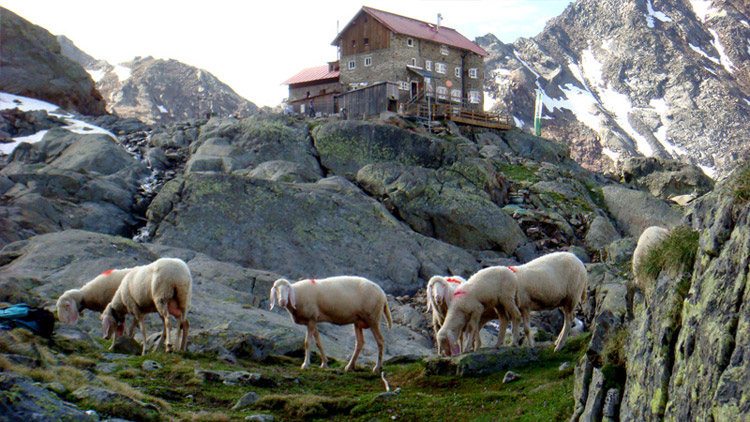 Siegerlandhütte