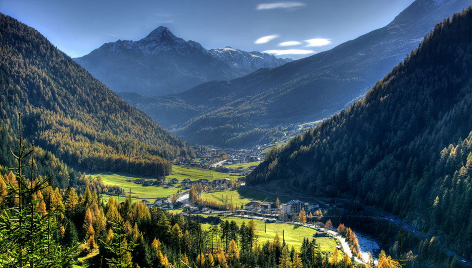 Grauviehzuchtverein Sölden